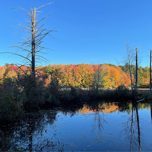 Meet your Posher, Claire